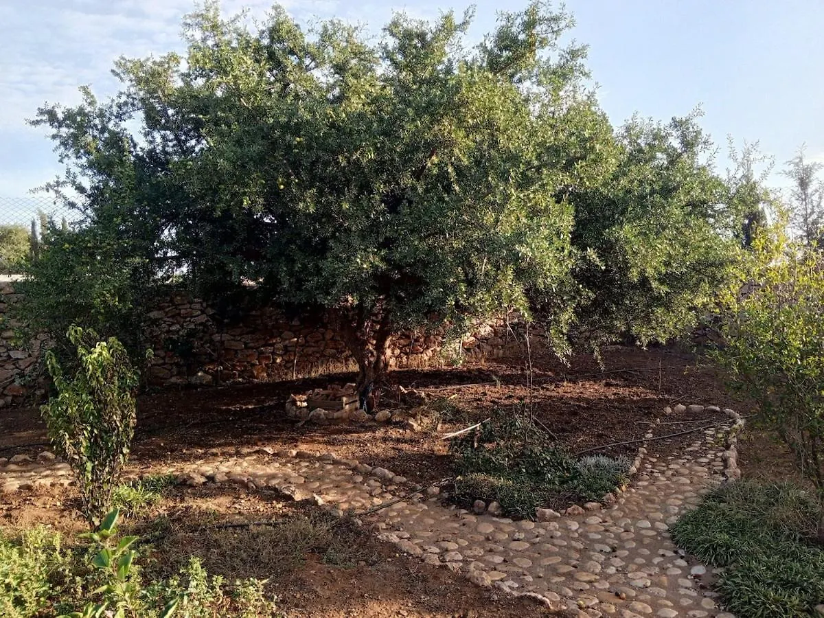 Villa Tania Sidi Kaouki